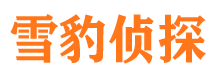 巴楚市侦探公司